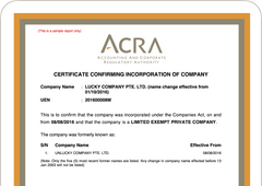 Company Incorporation Services in Singapore - Osome
